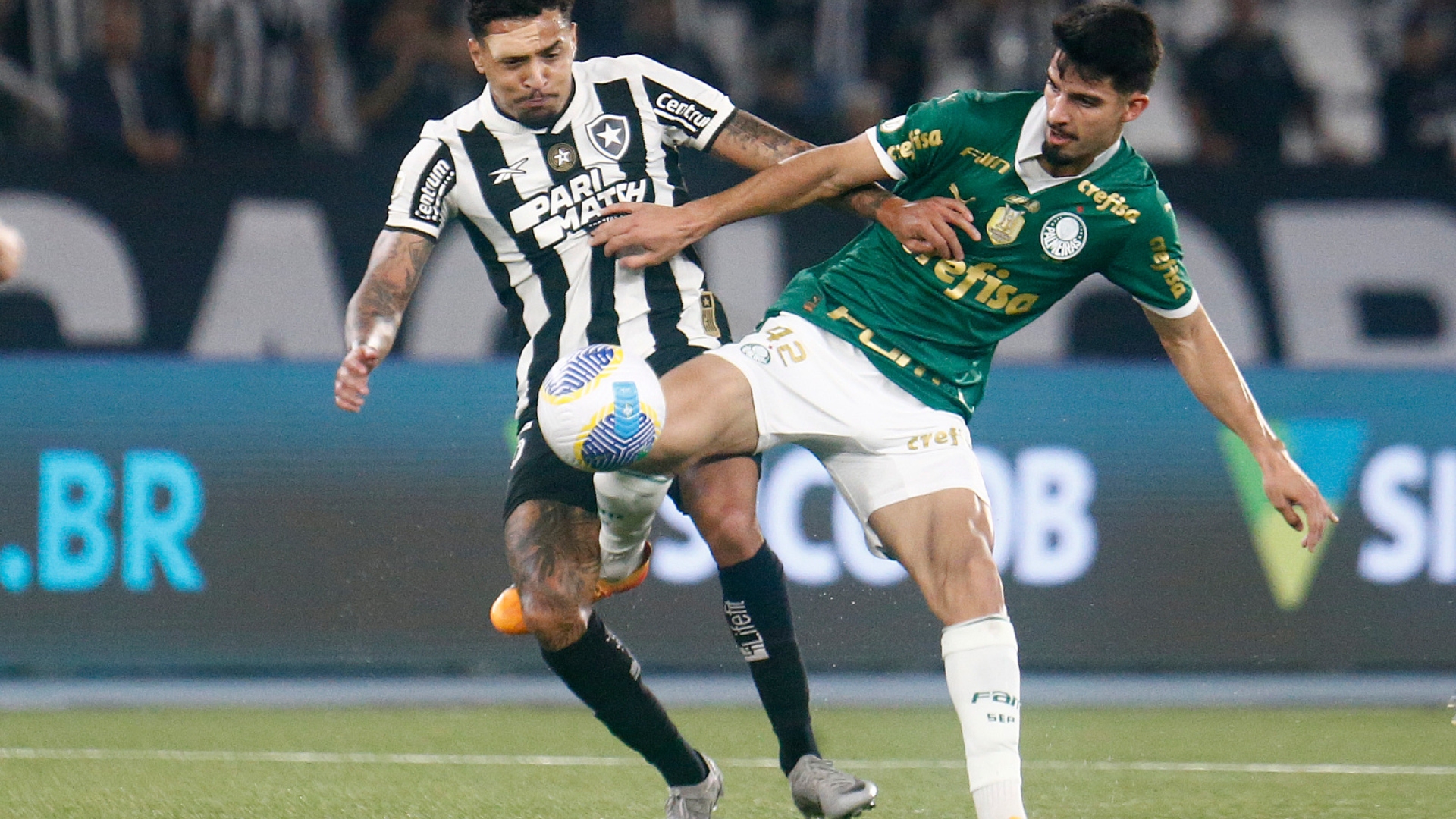 Botafogo, Palmeiras, Mundial de Clubes
