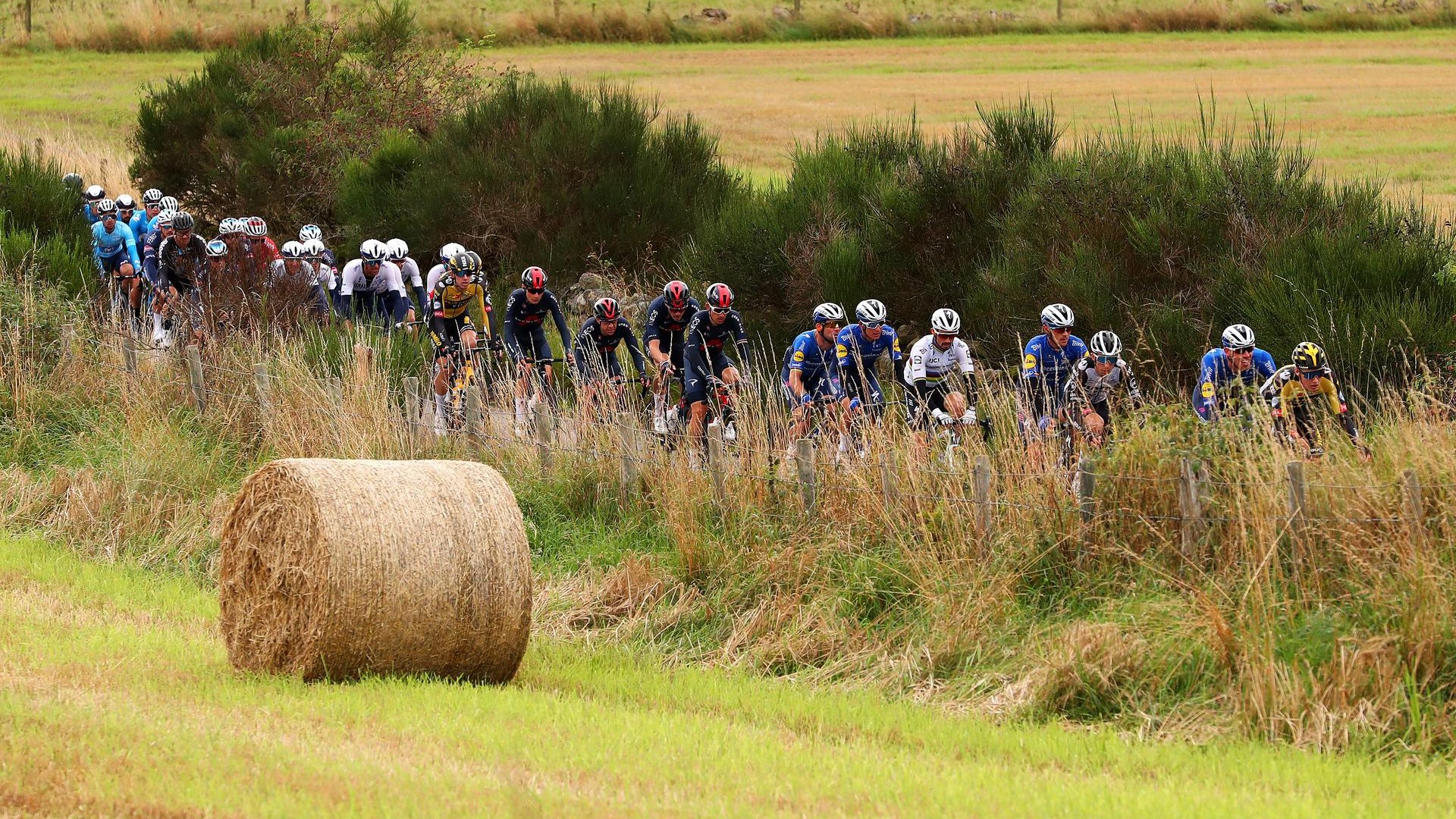 Gruppo di ciclisti nelle Classiche del Nord
