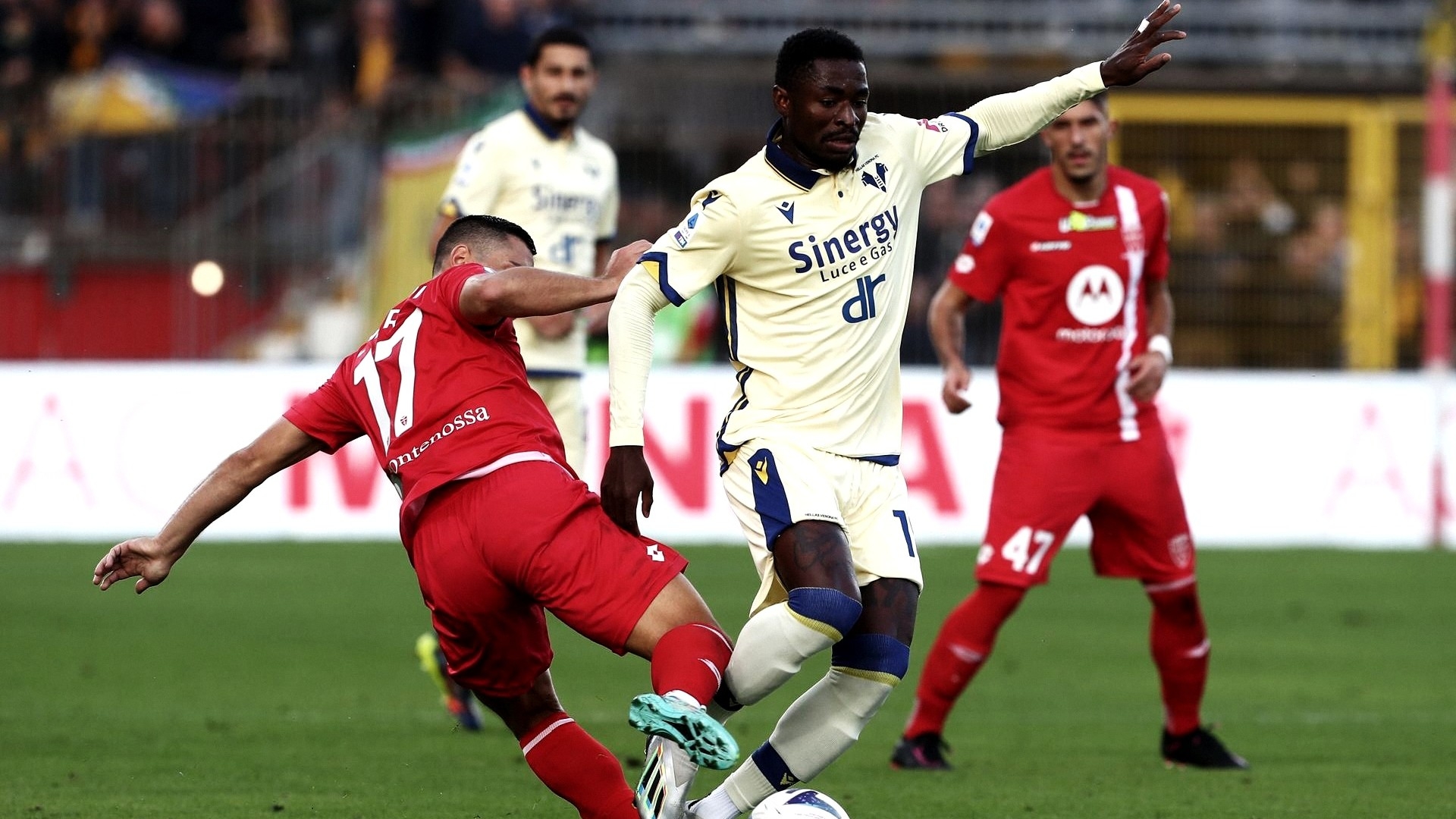 Monza-Verona in Serie A TIM