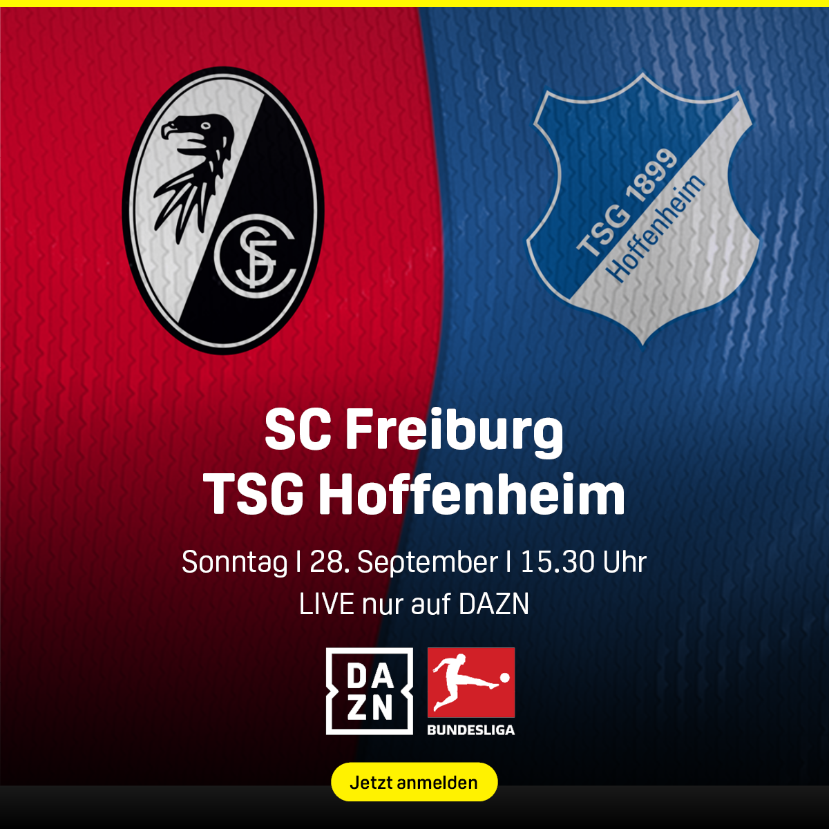 SC Freiburg TSG Hoffenheim Bundesliga