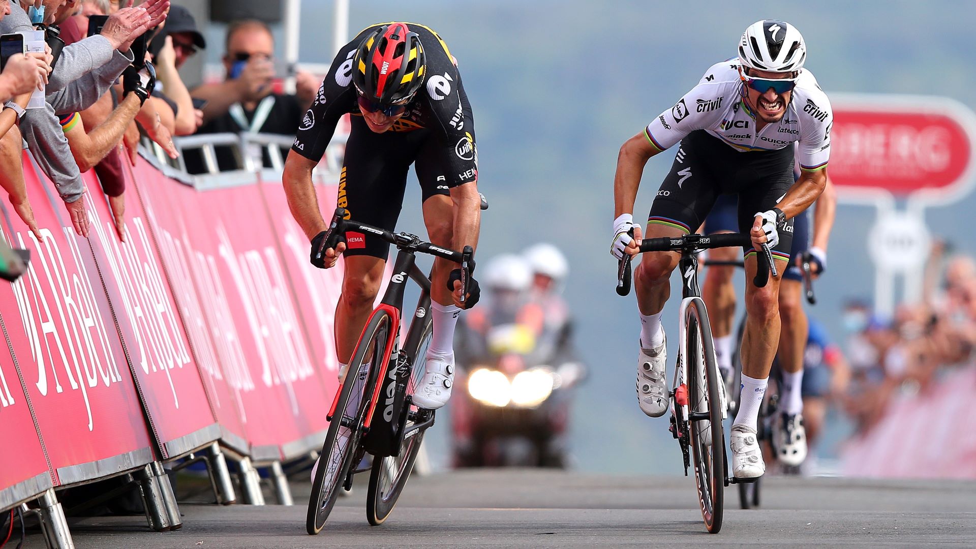 Radsport Straßen-WM Alaphilippe van Aert LIVE-STREAM