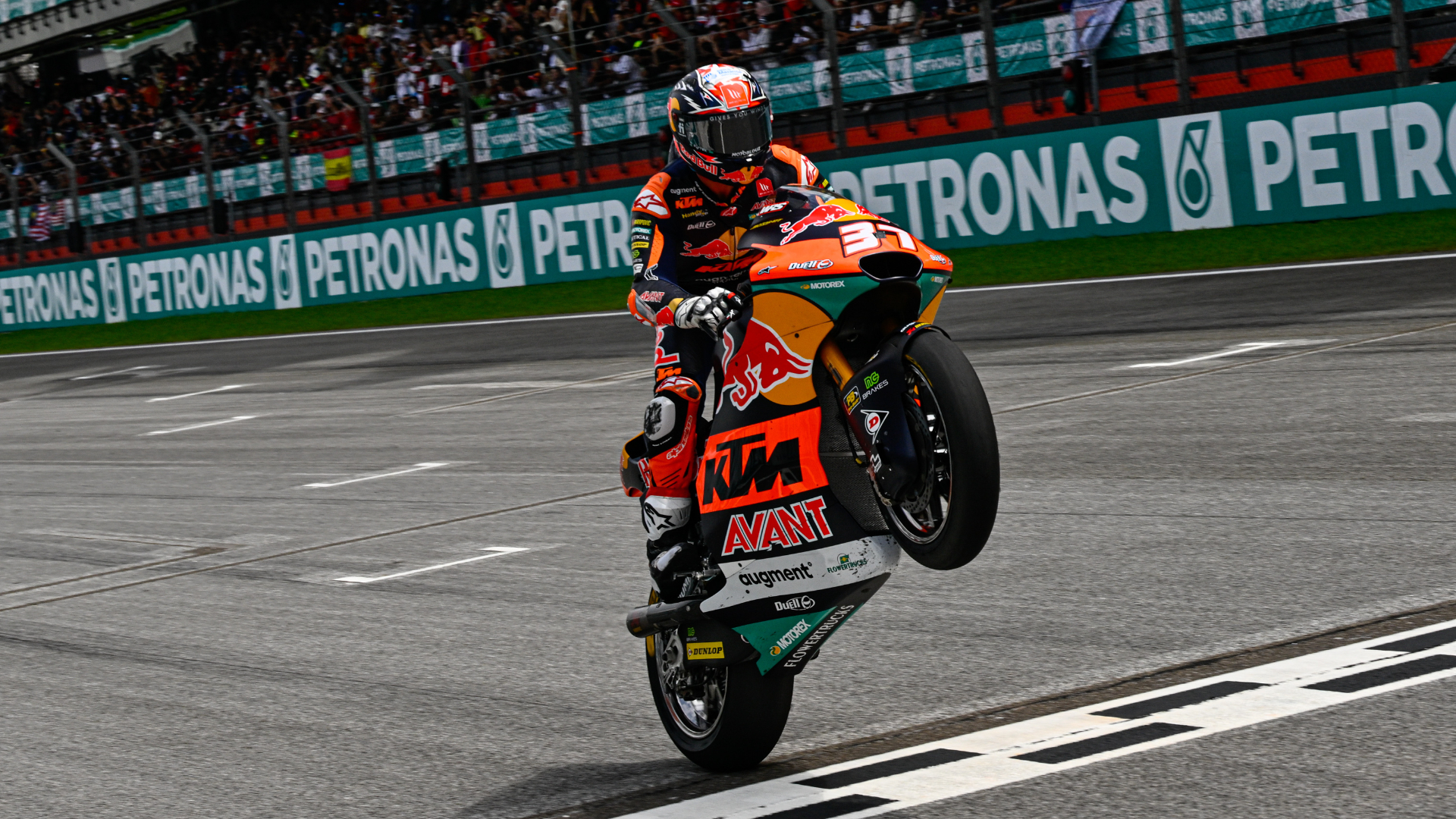 Pedro Acosta campeón del mundo Moto2 GP Malasia 2023