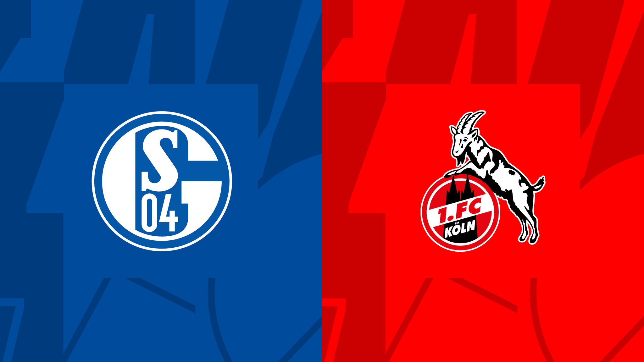 Schalke Köln