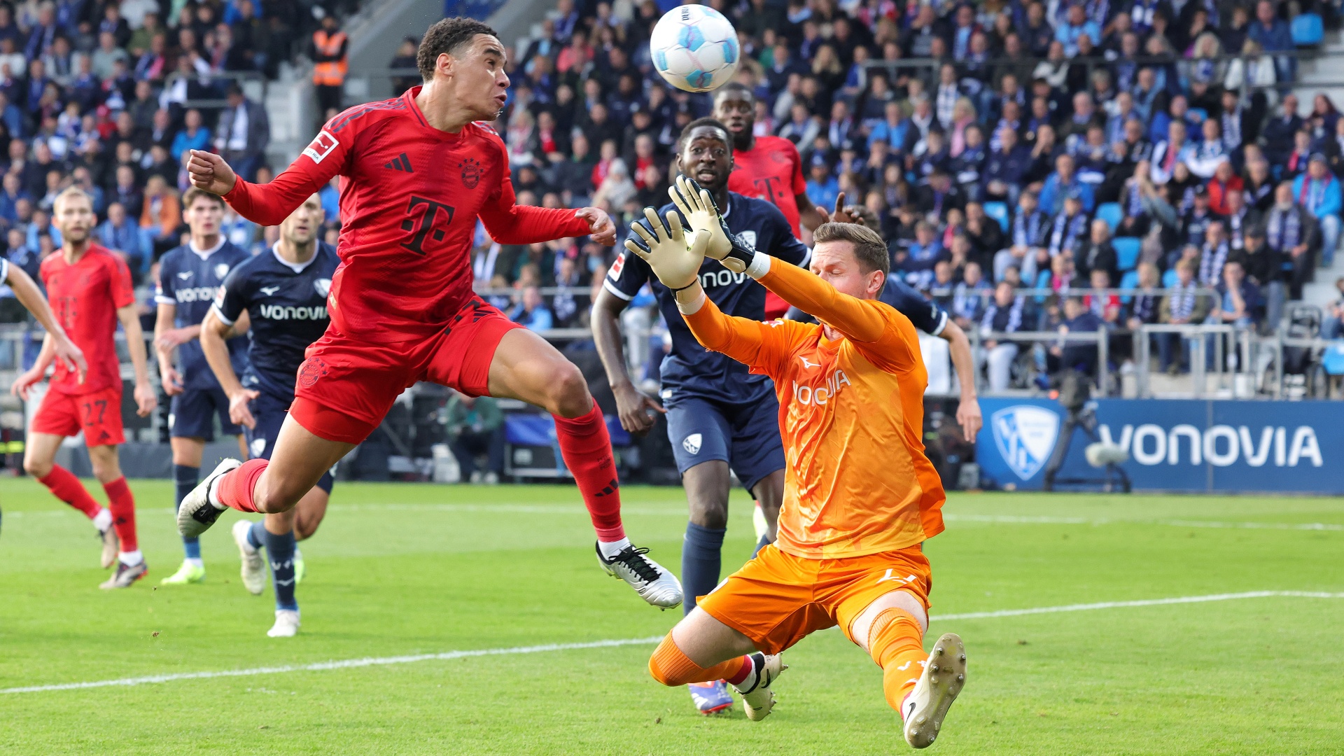 Jamal Musiala FC Bayern München Patrick Drewes VfL Bochum 27102024
