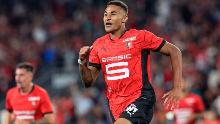 Henrik Meister, Stade Rennais