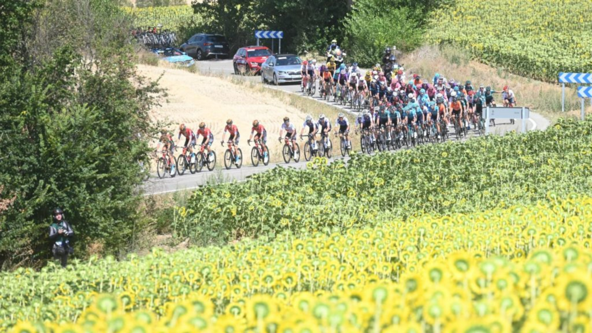 Vuelta a Burgos, ciclismo