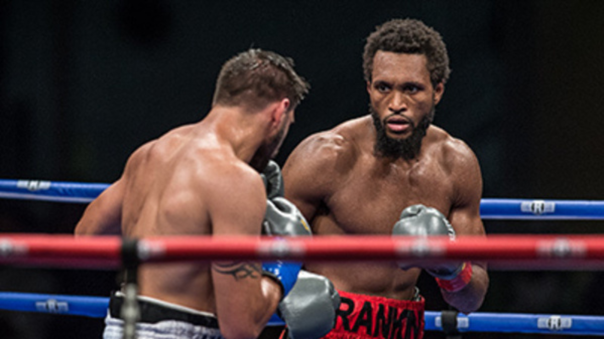 quinton rankin boxeo
