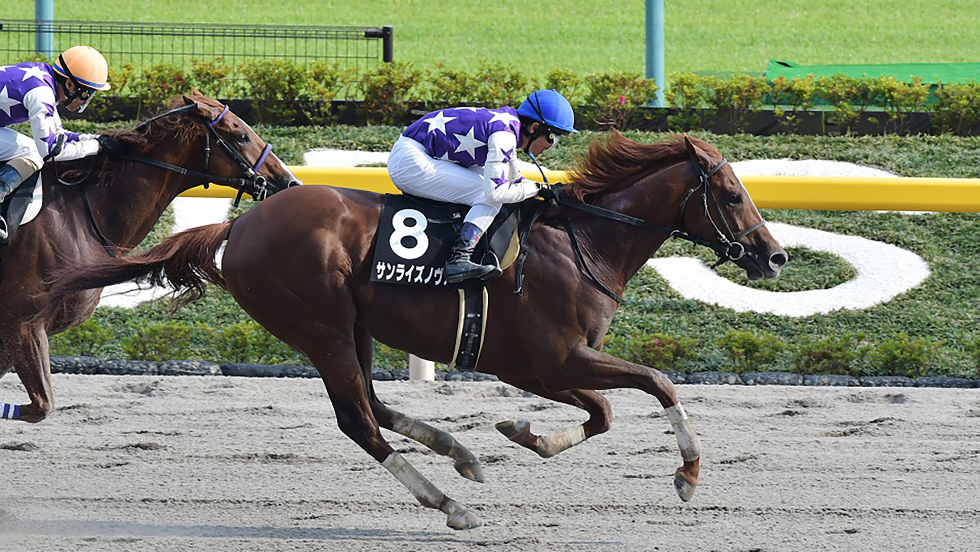 サンライズノヴァ