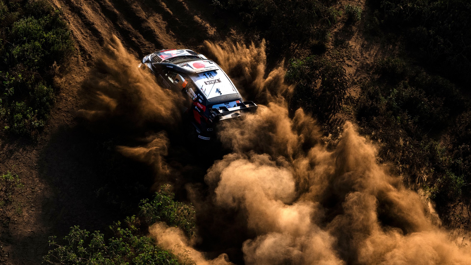 Into the unknown WRC