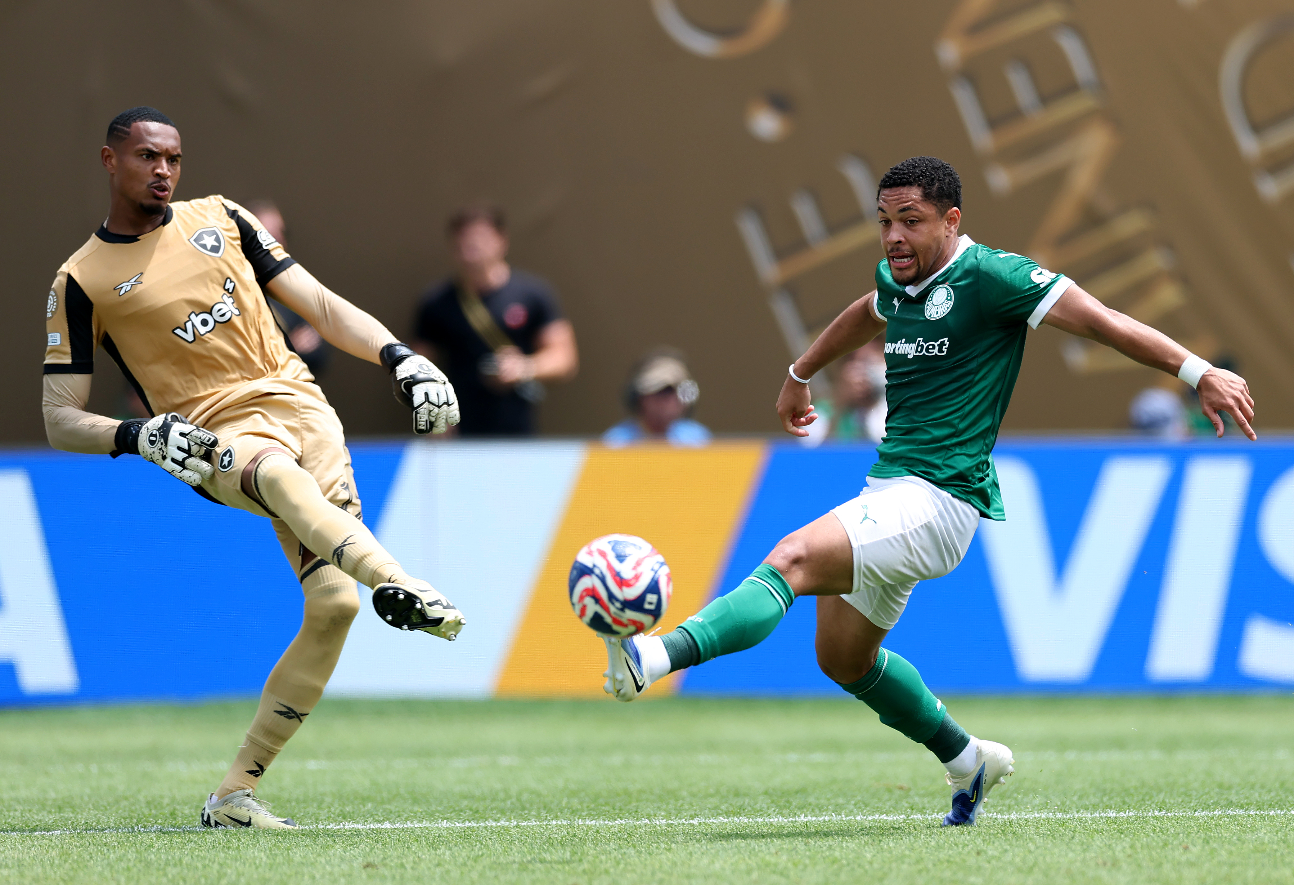 Palmeiras vs Botafogo