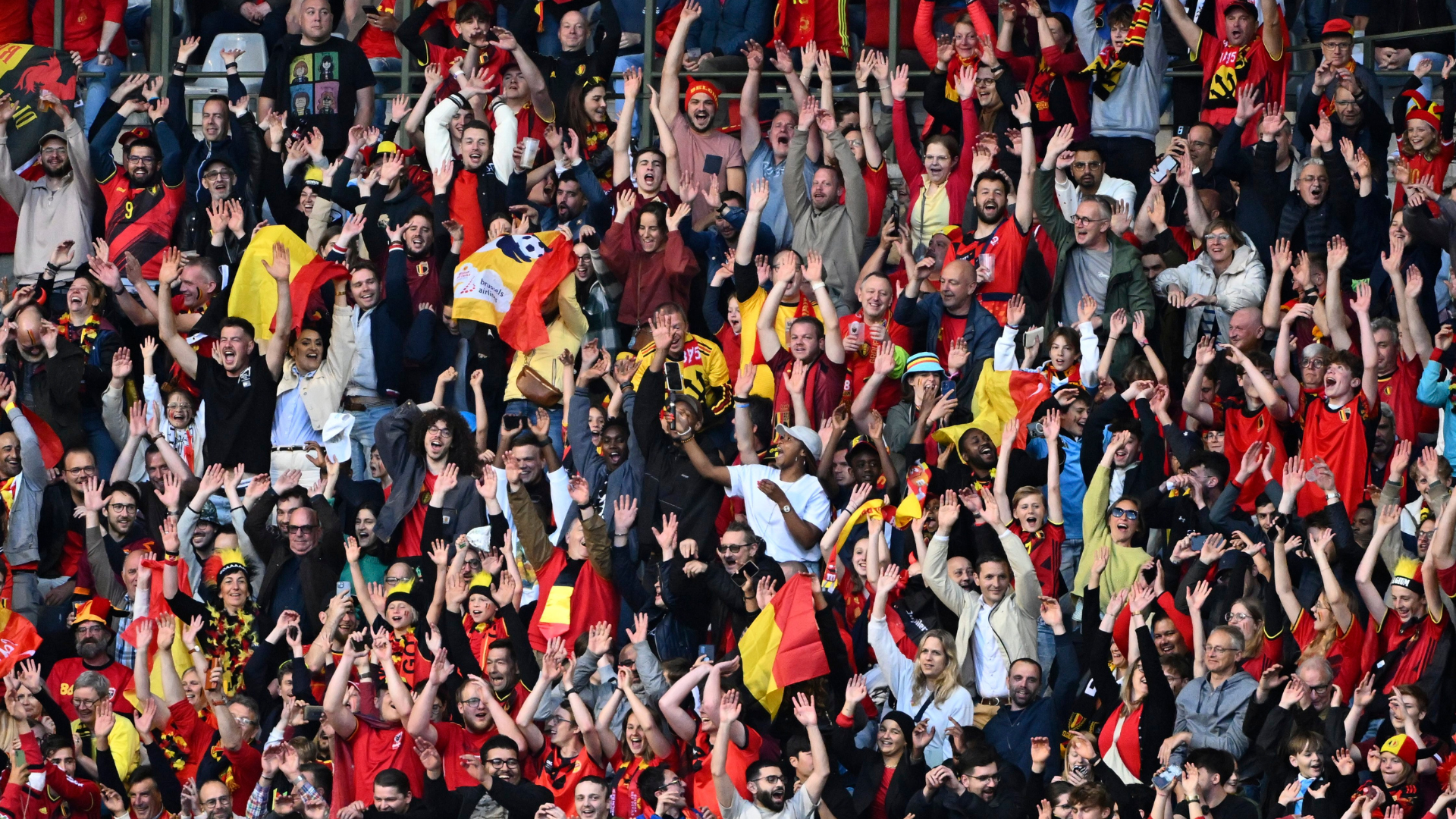 Aficionados Bélgica, 2024