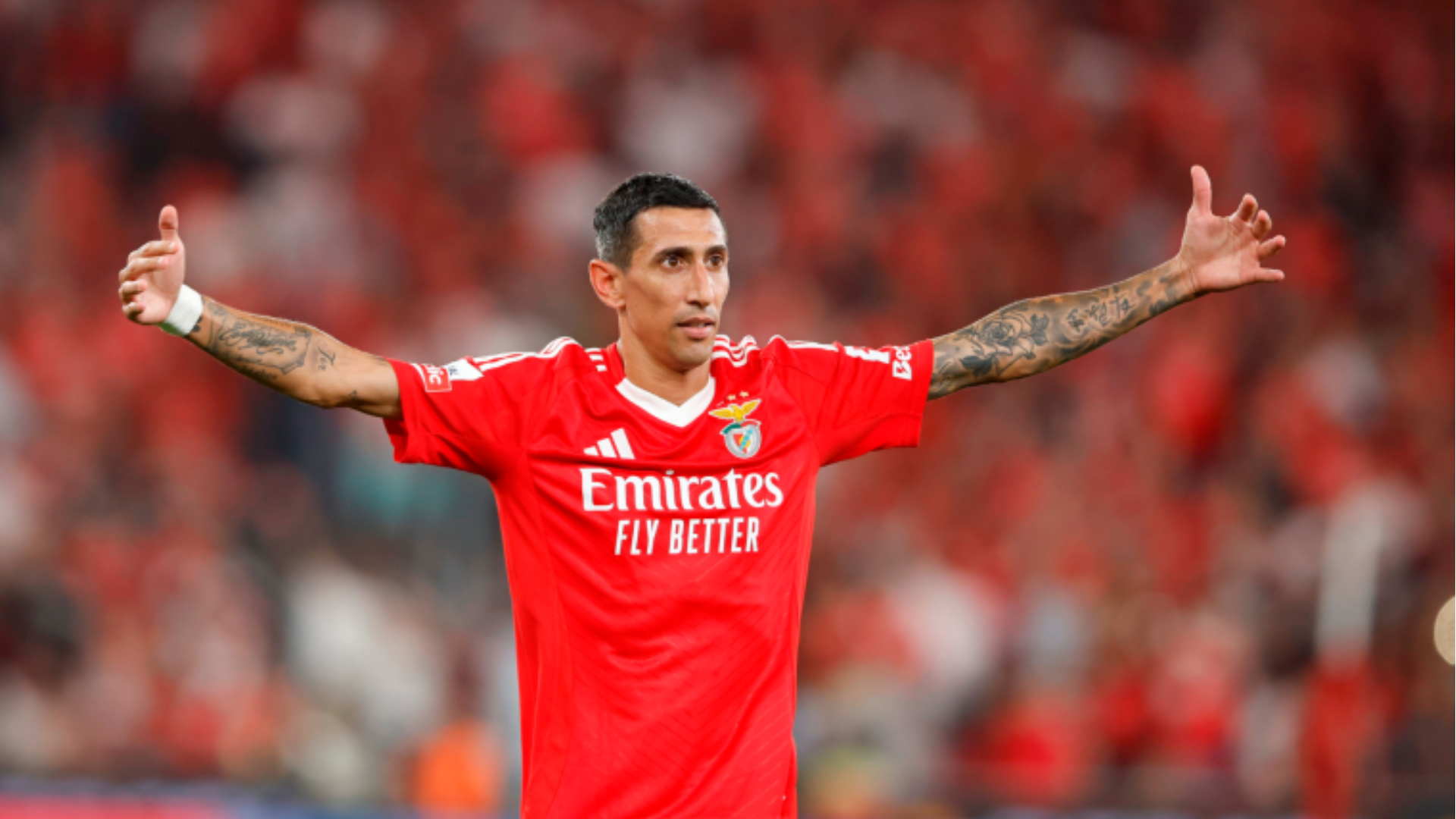 Angel Di María, Benfica, 2024/25
