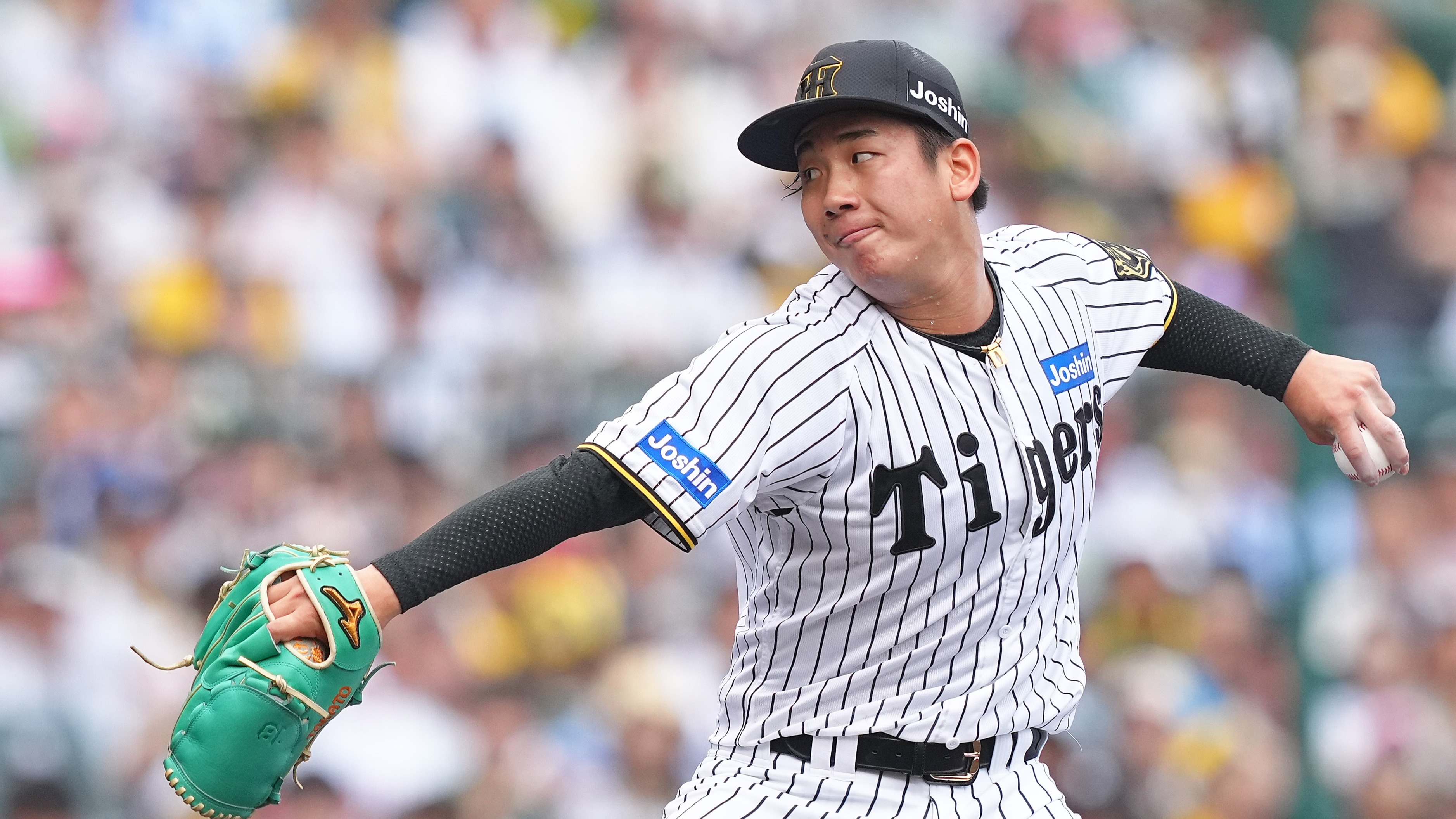 2025-05-19-npb-Tigers-Ihara