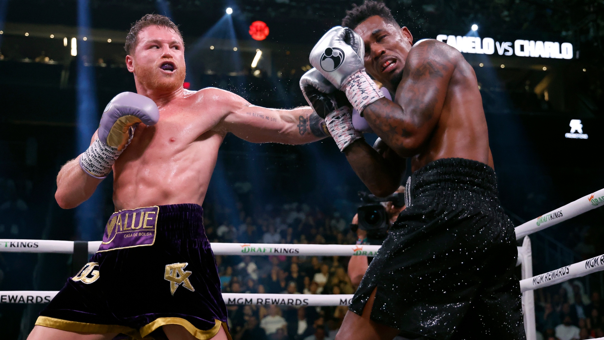 Canelo Alvarez vs. Jermell Charlo