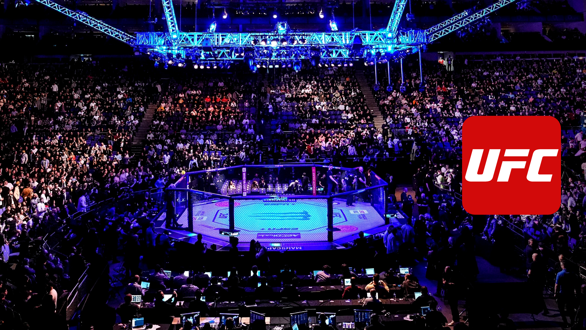 UFC Ultimate Fighting Championship MMA Octagon
