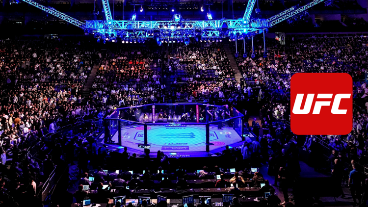 UFC Ultimate Fighting Championship MMA Octagon