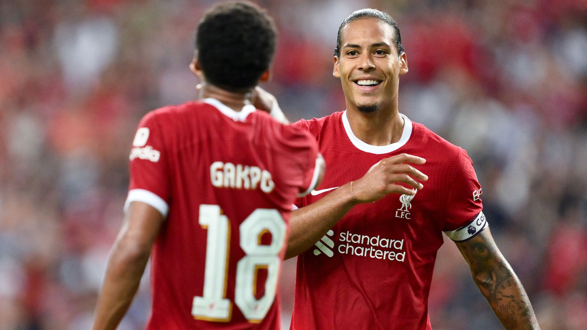 Cody Gakpo Virgil van Dijk