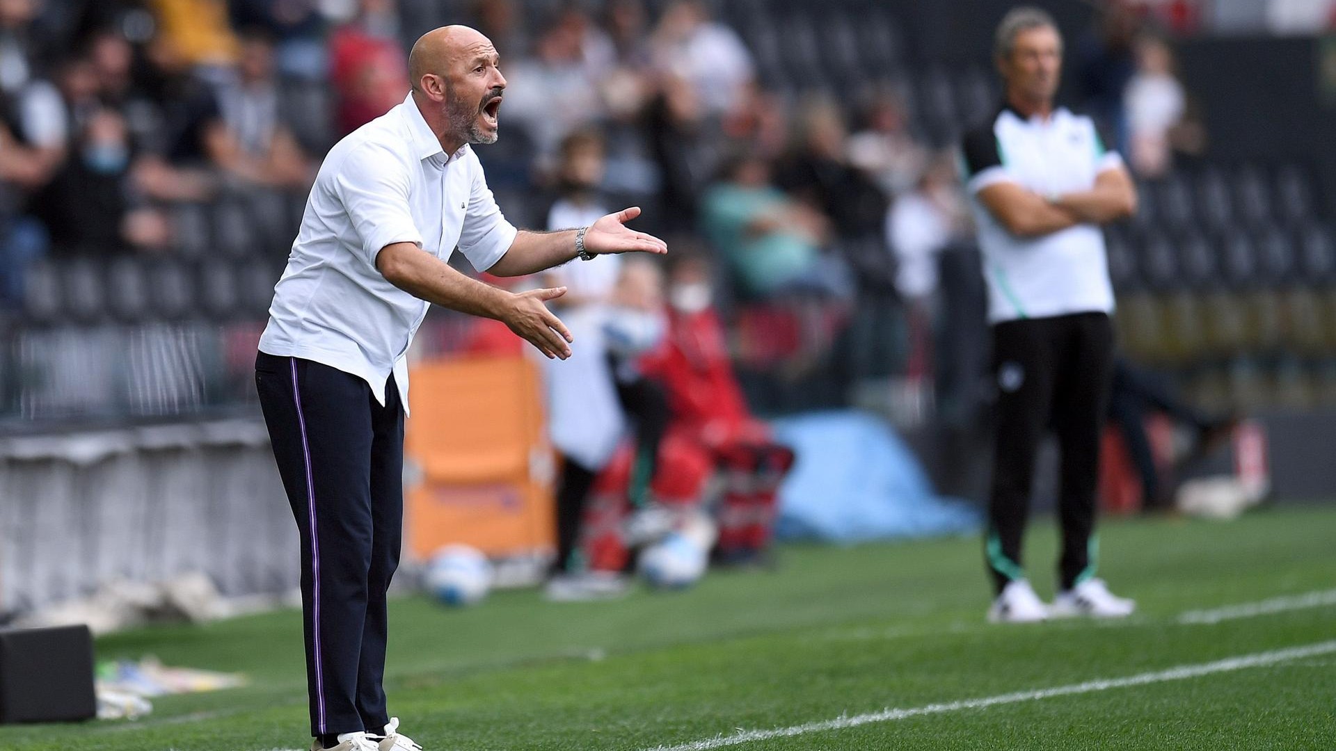 Vincenzo Italiano allenatore della Fiorentina