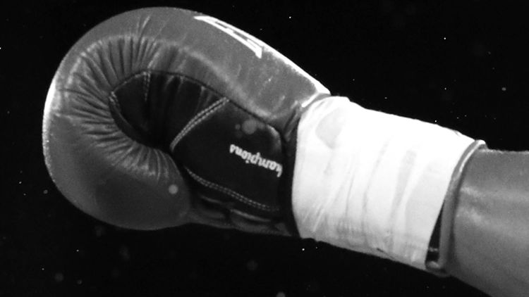 Boxing Glove