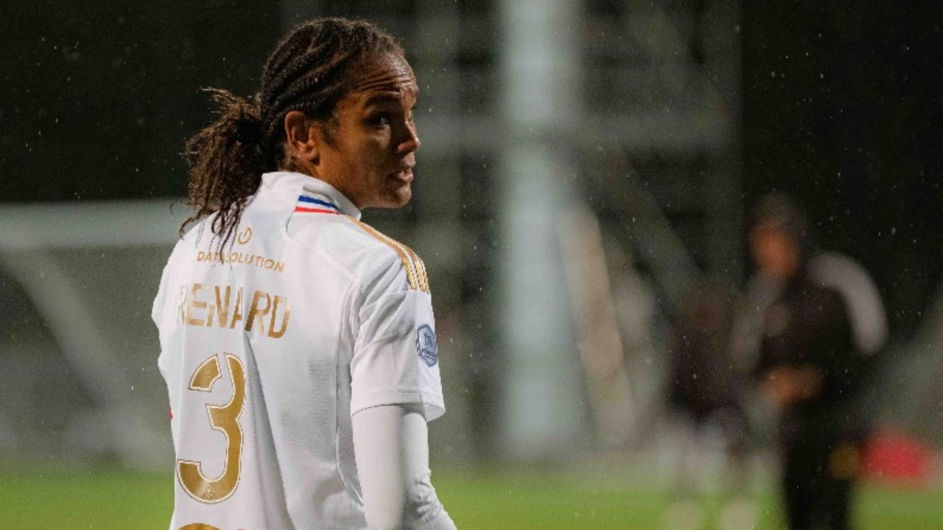 Renard, Lyon, Francia