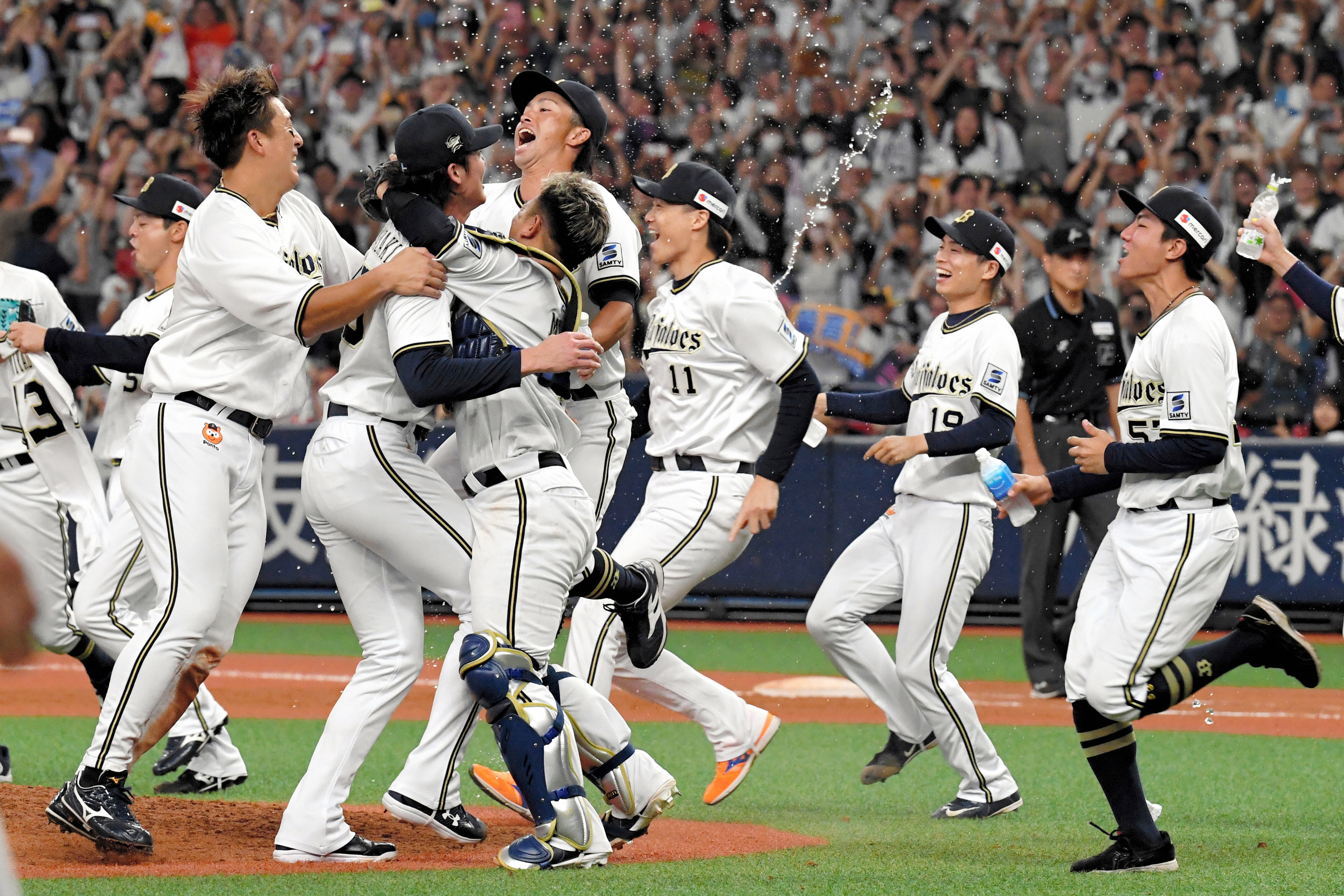 orix buffaloes