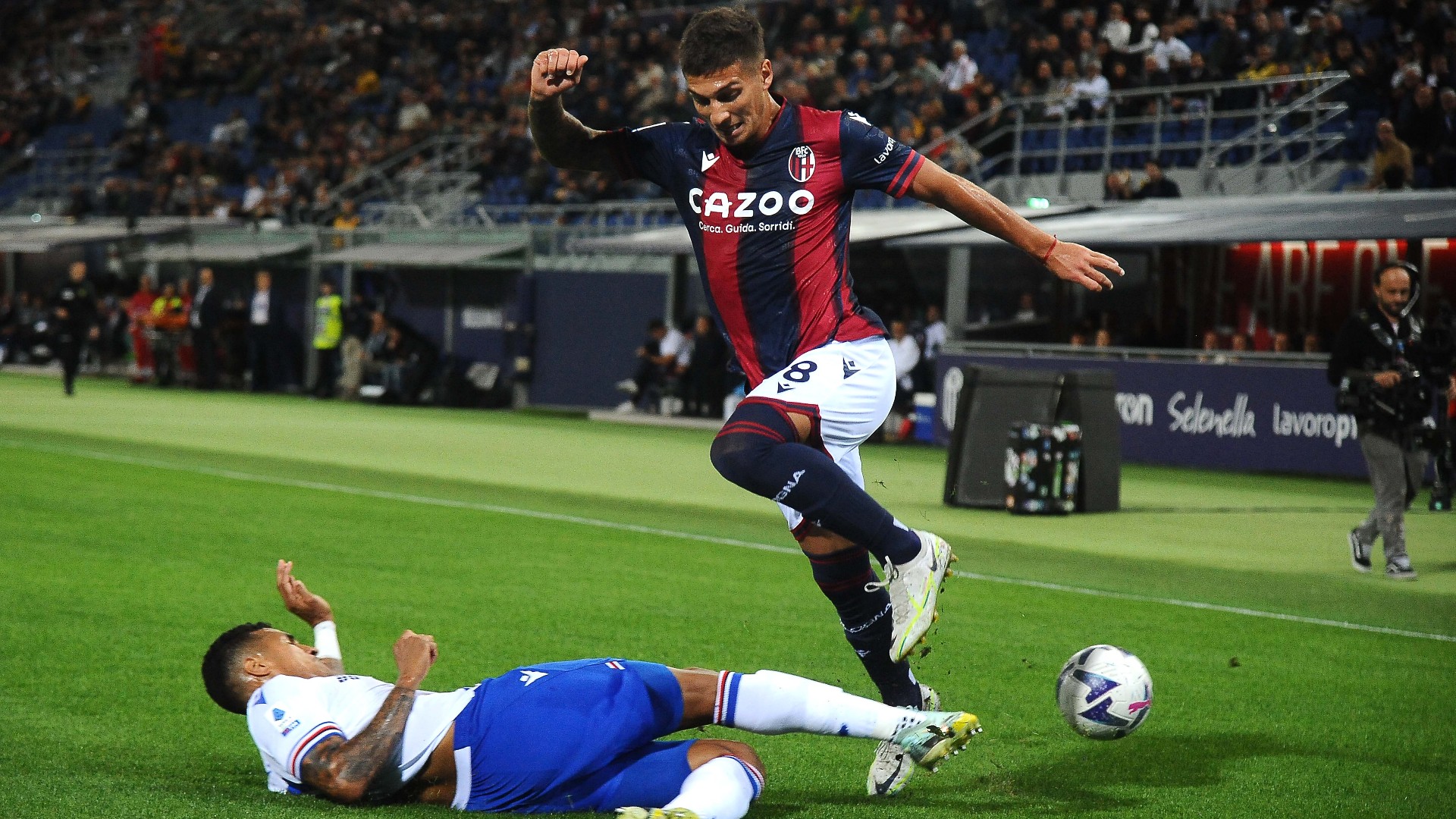 Bologna Sampdoria Serie A TIM