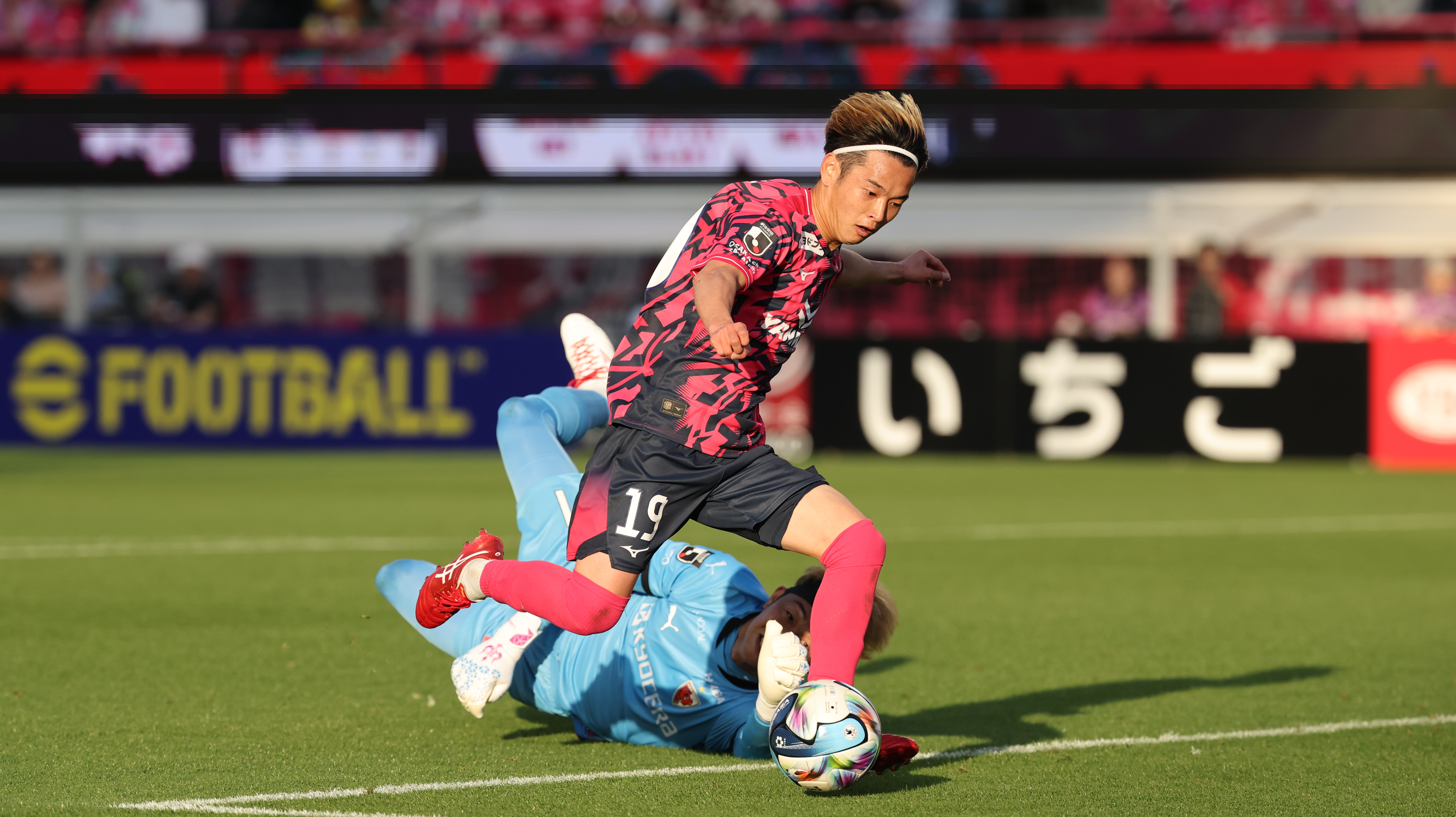 yanmar supporting match