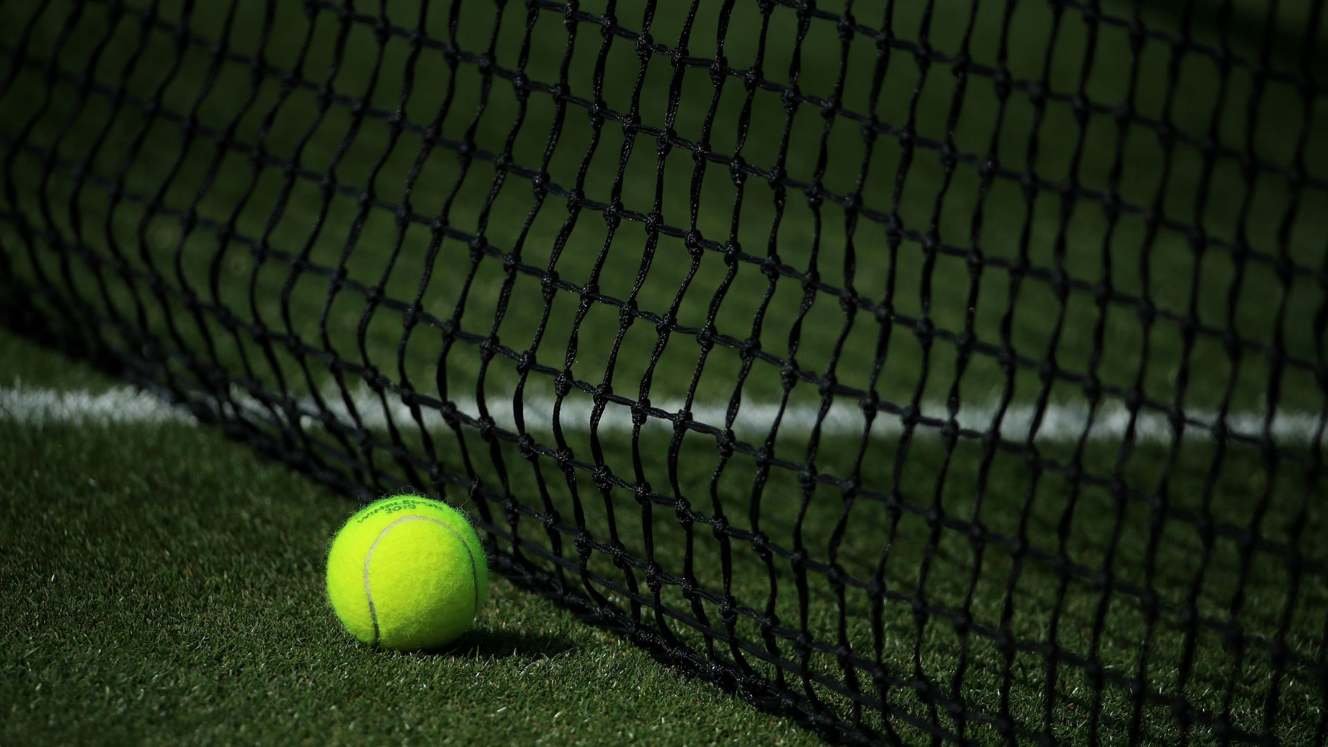 Wimbledon, la pallina del torneo