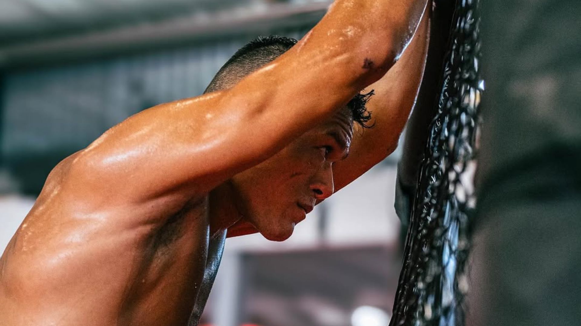 Costello van Steenis, MMA, PFL