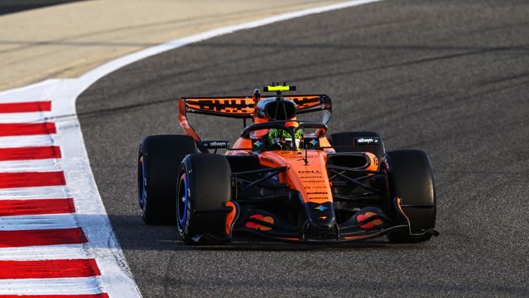 Lando Norris