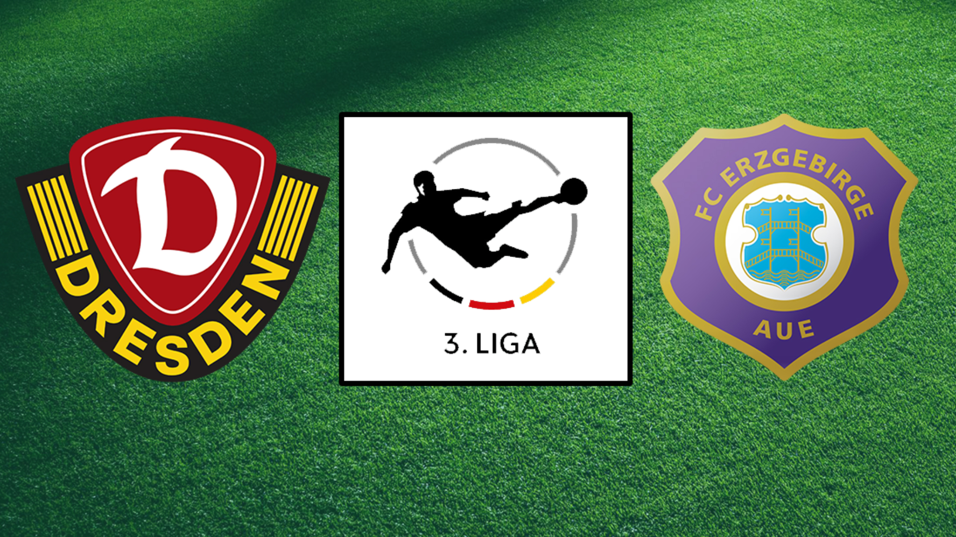 Dynamo Dresden Erzgebirge Aue