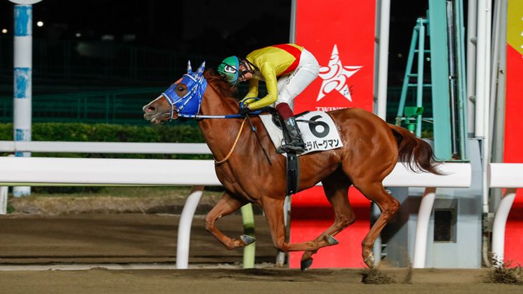 ミラバーグマン