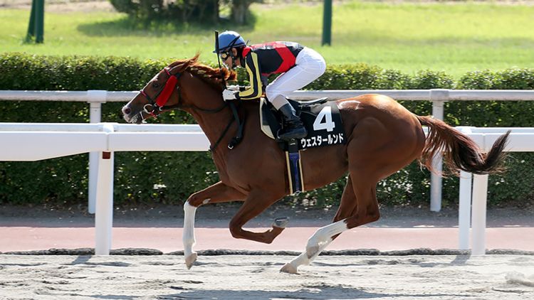 ウェスタールンド