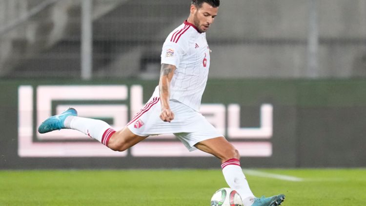 Bernardo Lopes