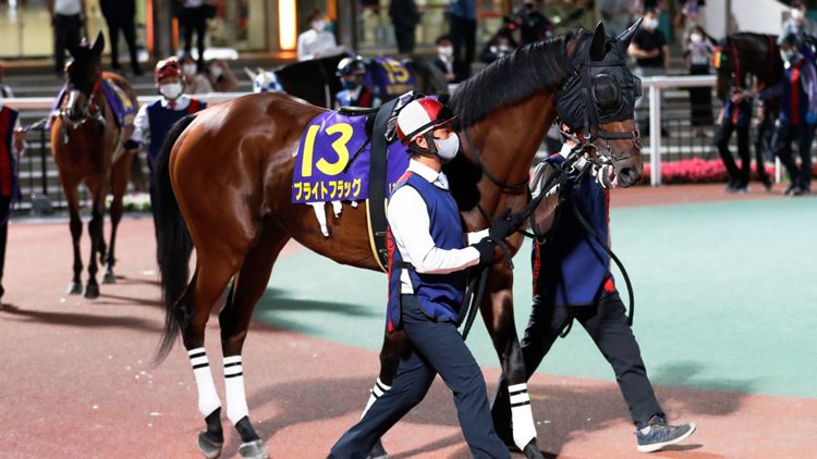 2021-0713-tck-Bright-flag