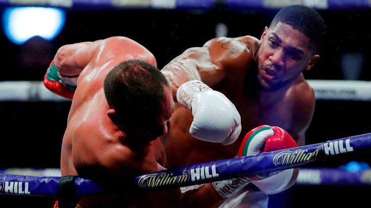 Boxen Anthony Joshua Pulev letzte Kämpfe Bilanz