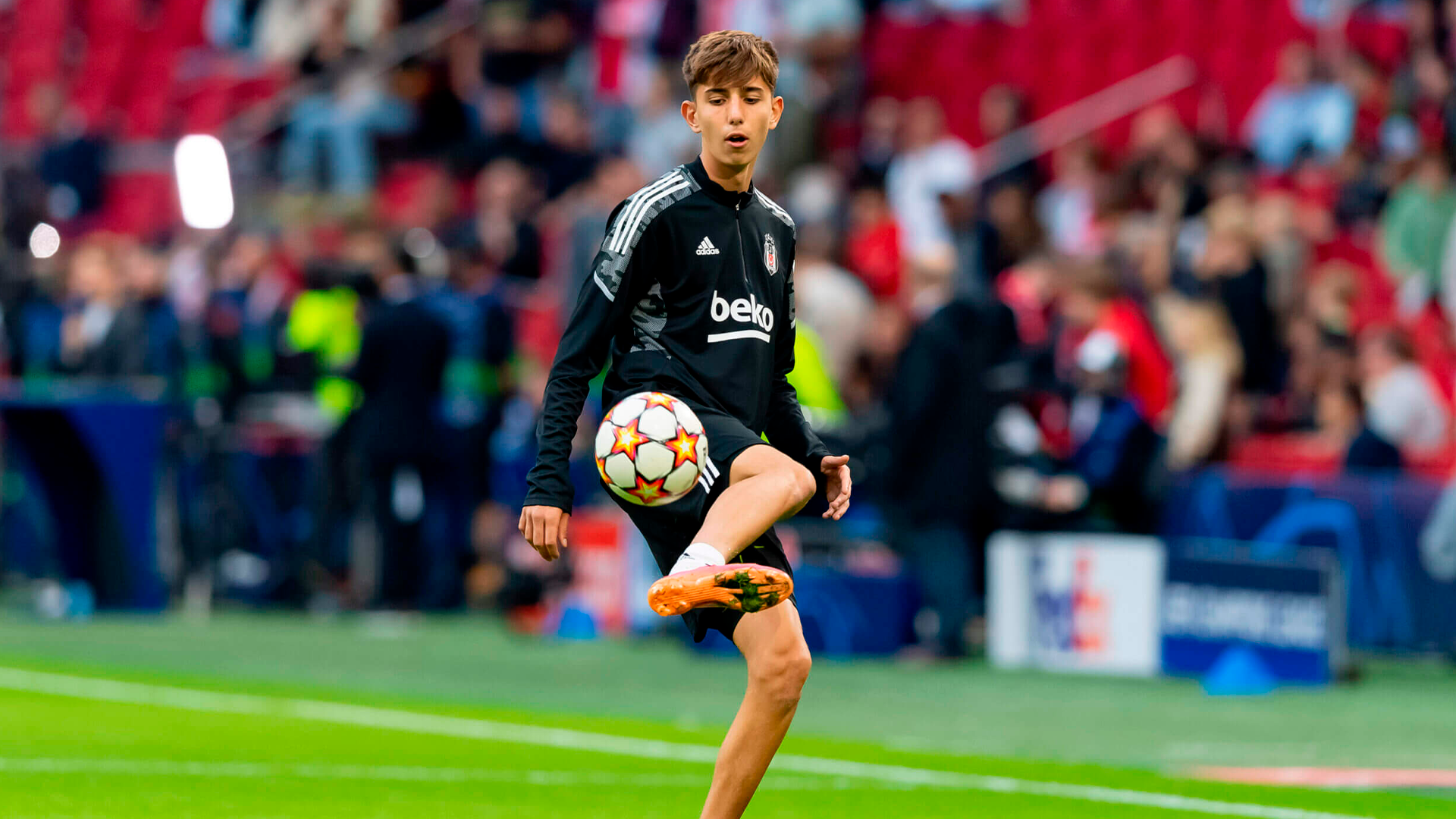 DEMIR TIKNAZ ESTREIA