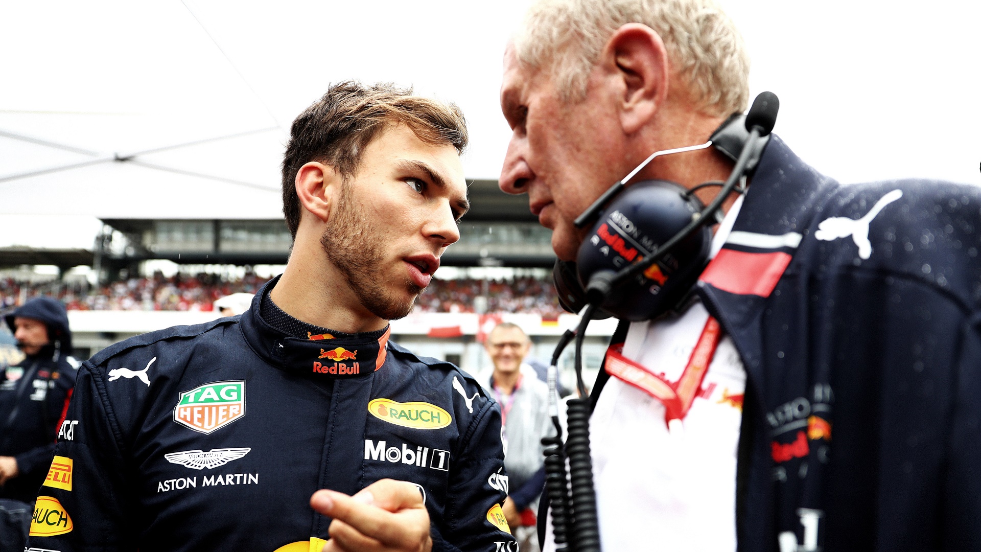 2021-03-22 2019 Gasly Germany Red Bull Marko Formula 1 F1