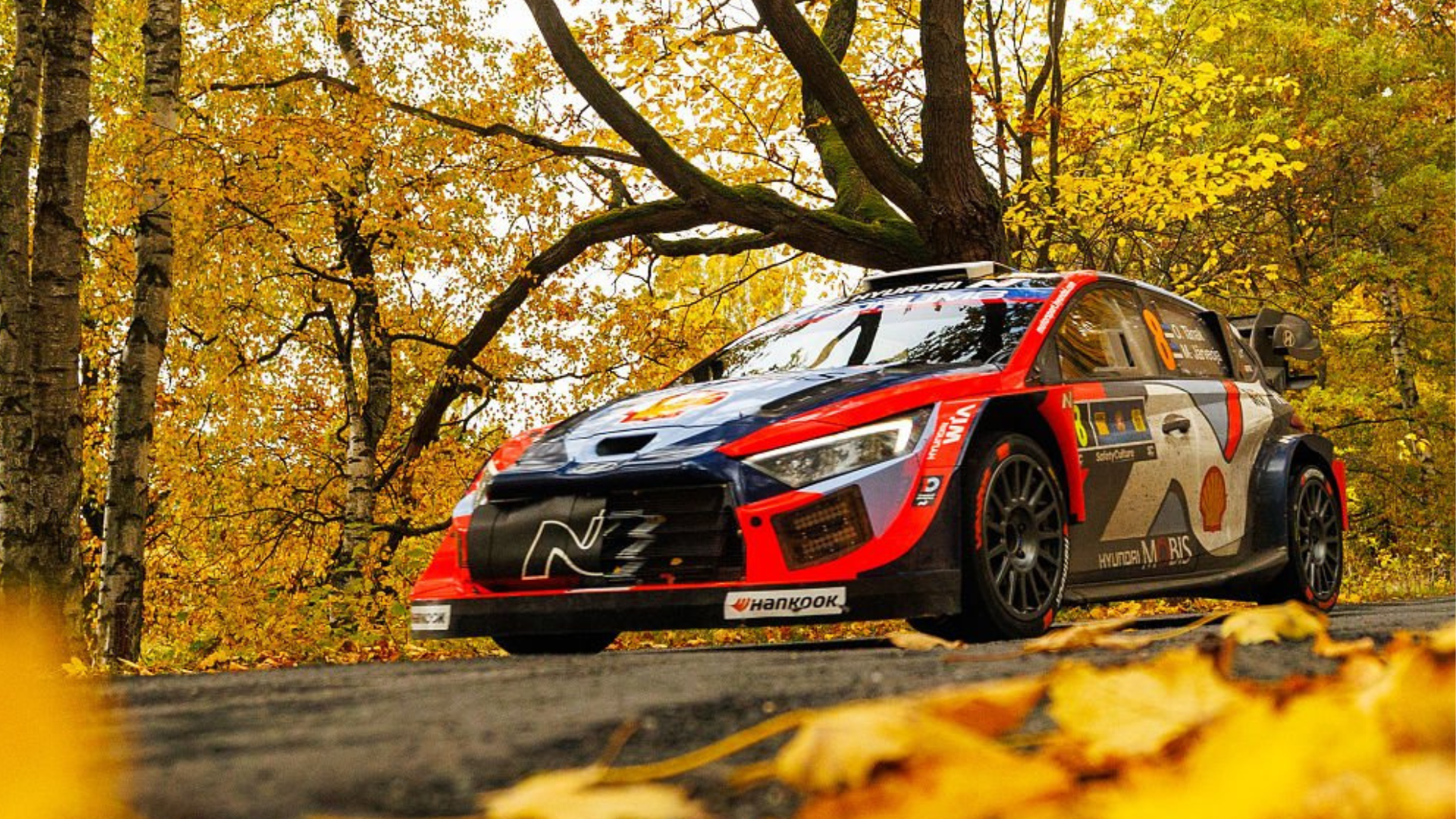 WRC, Campeonato Mundial de Rally
