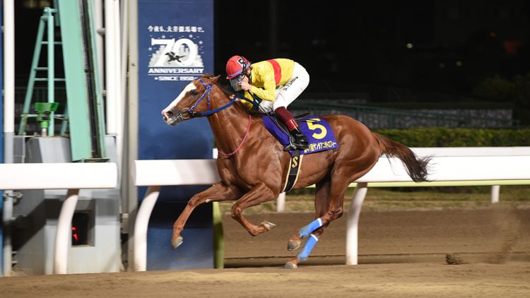 ワークアンドラブ