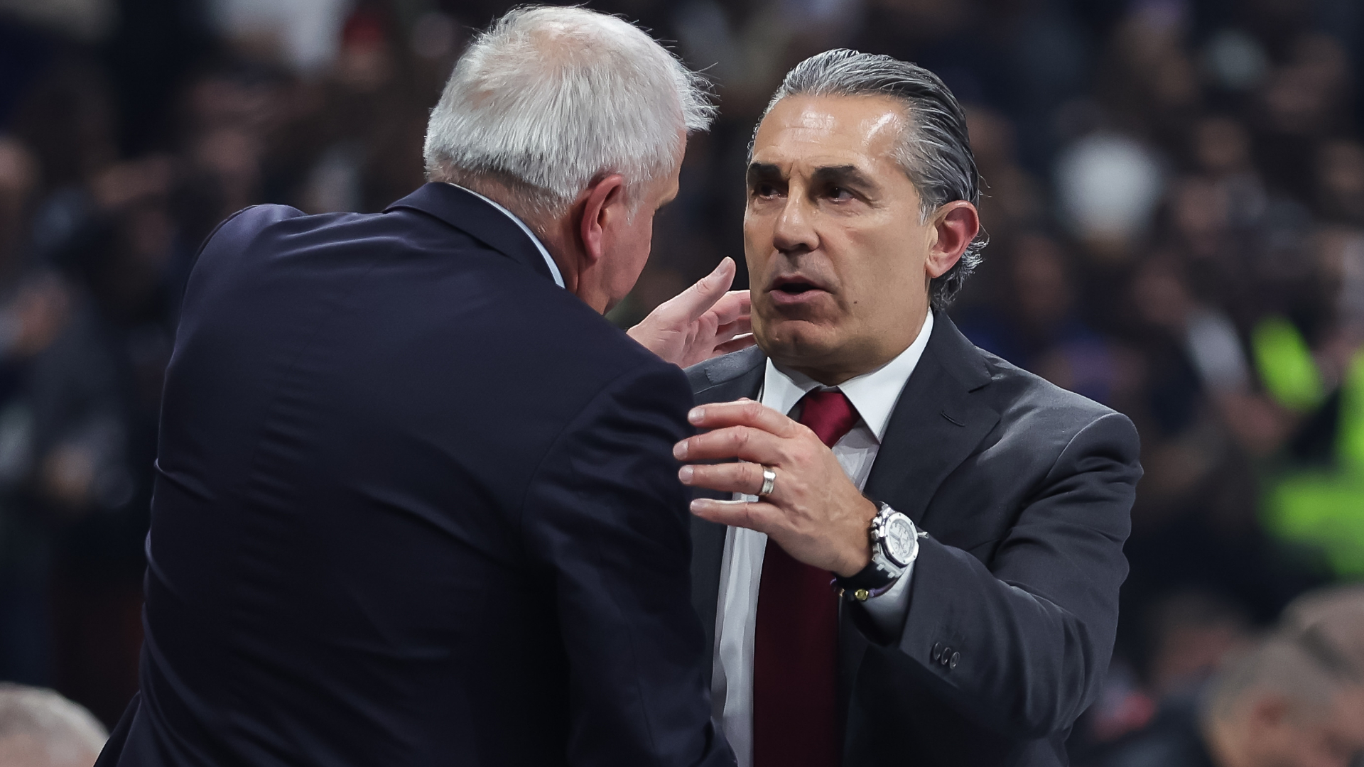 Zeljko Obradovic, Sergio Scariolo, Partizan, Virtus Bolonia, Euroliga