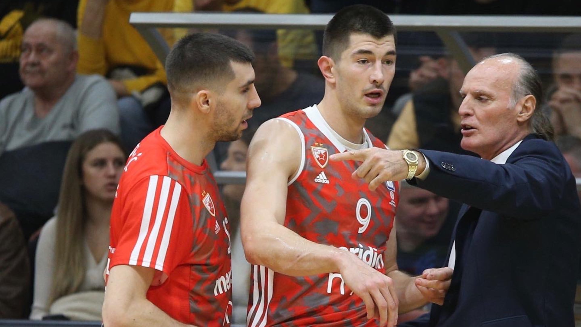 Estrella Roja, Euroliga