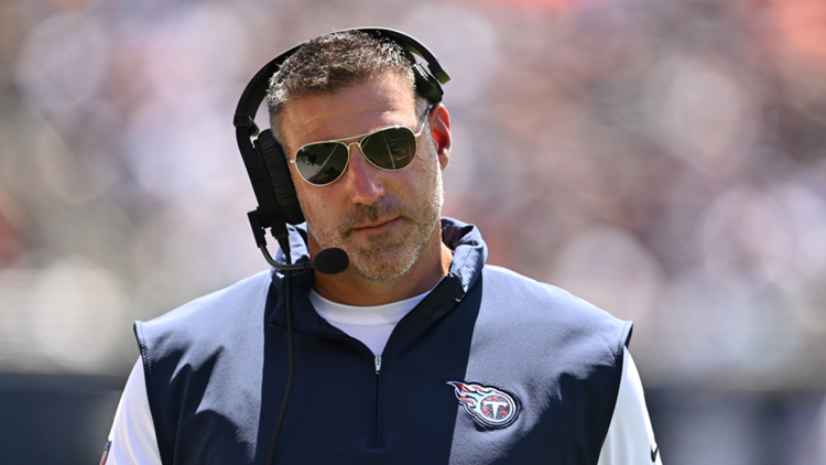 Mike Vrabel NFL