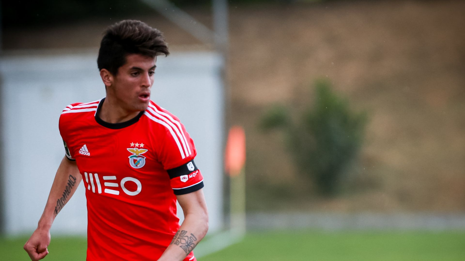 Joao Cancelo, con el Benfica