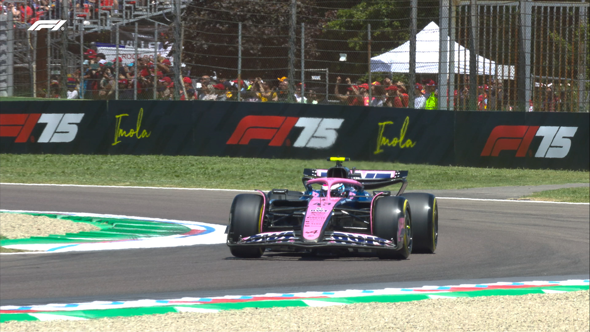 Colapinto, Alpine, F1, Imola