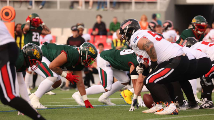 Barcelona Dragons ELF