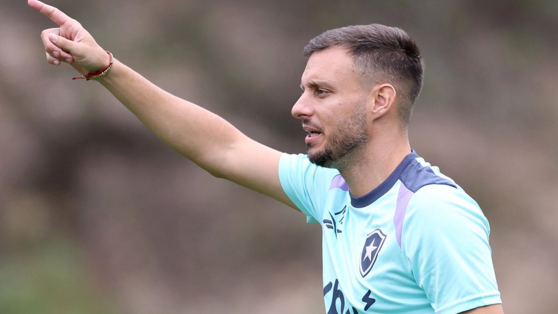 Martín Anselmi, Botafogo
