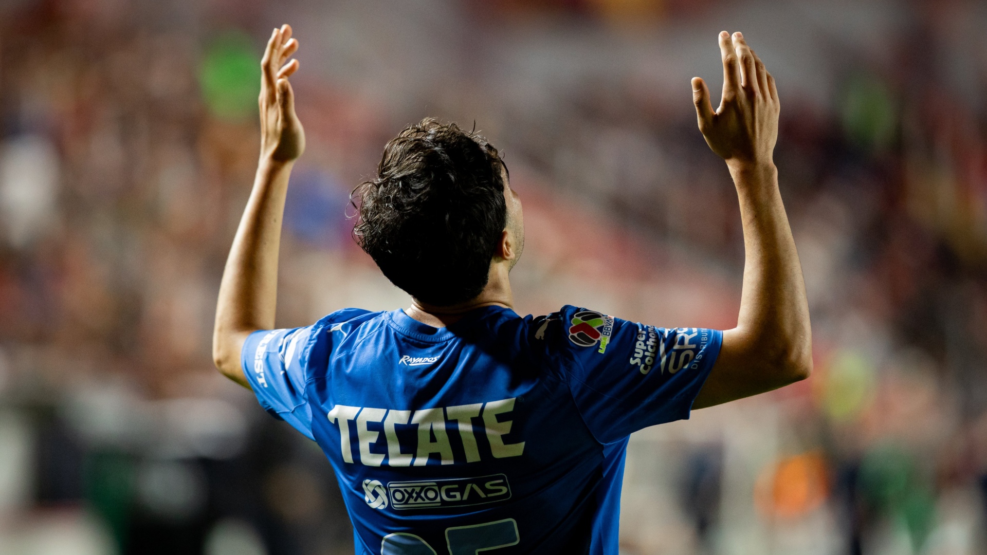 Rayados de Monterrey, Liga MX