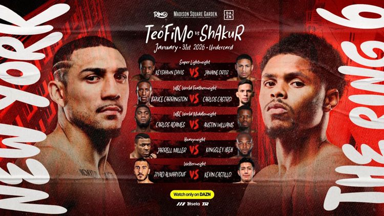 Teofimo Lopez vs Shakur Stevenson