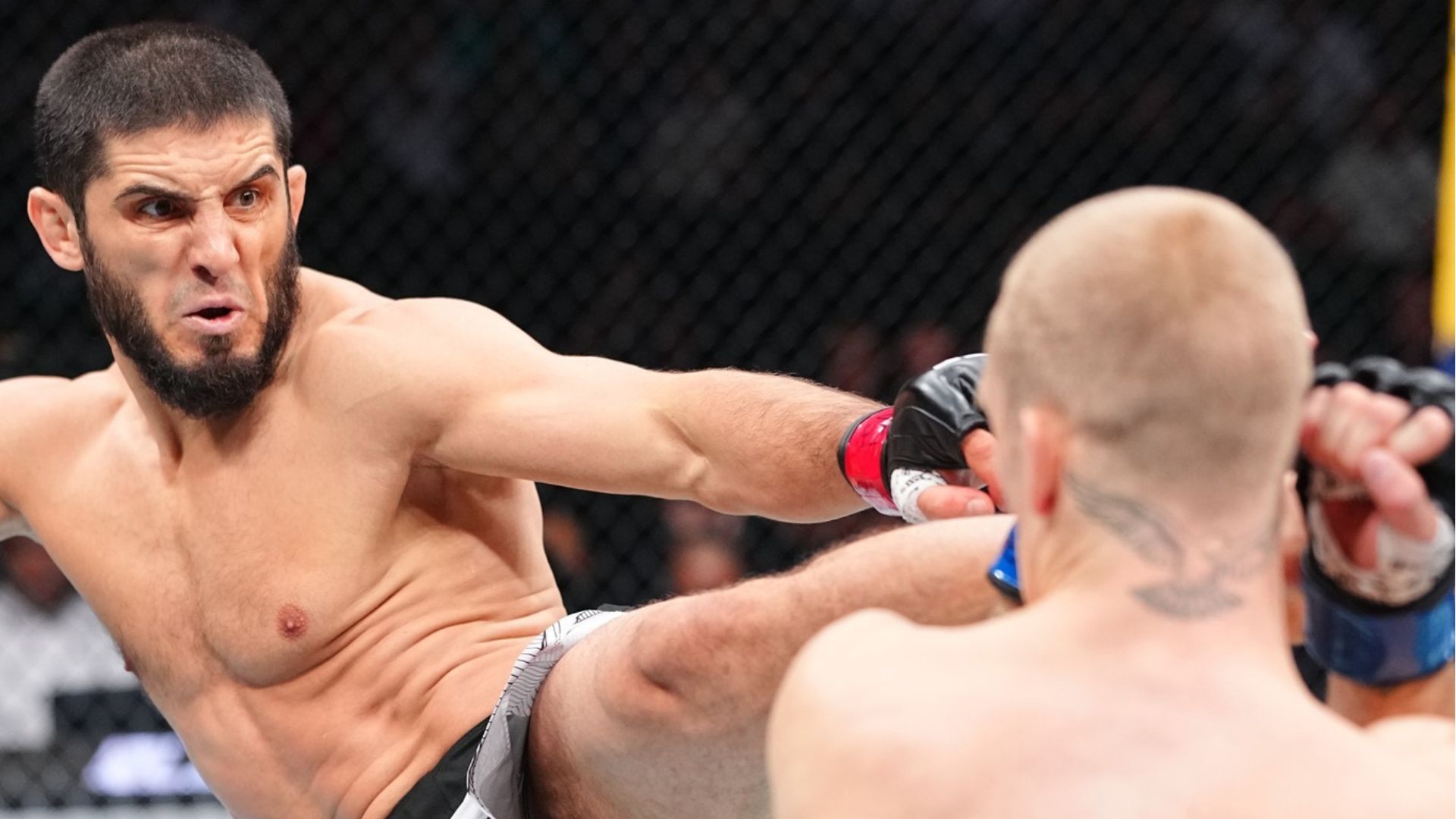 UFC 330: Islam Makhachev vs Ian Machado Garry